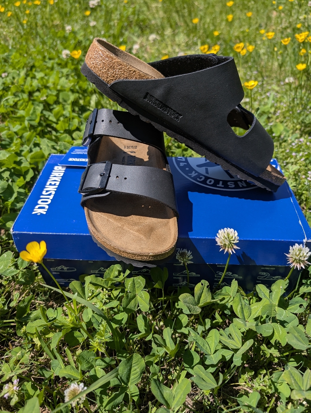 Size 37  Women's BirkenstockBlack Arizona Two-Strap Sandals In Black